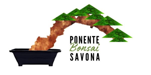 Logo Ponente Bonsai