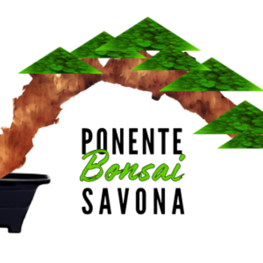 Logo Ponente Bonsai