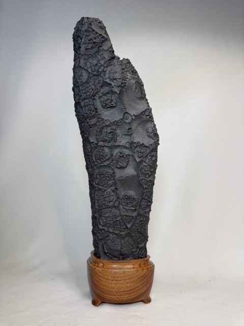 Figura a scaglie di drago